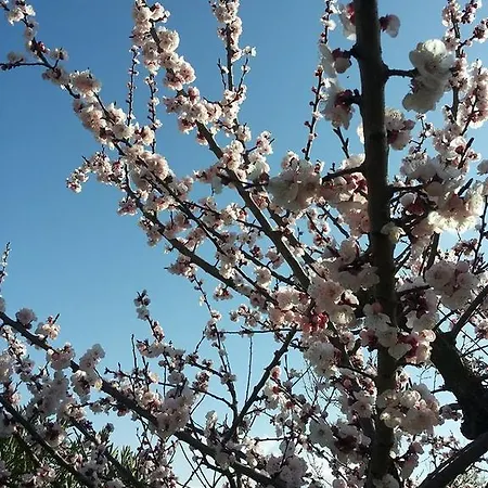 Casale Santioro * Canale Monterano